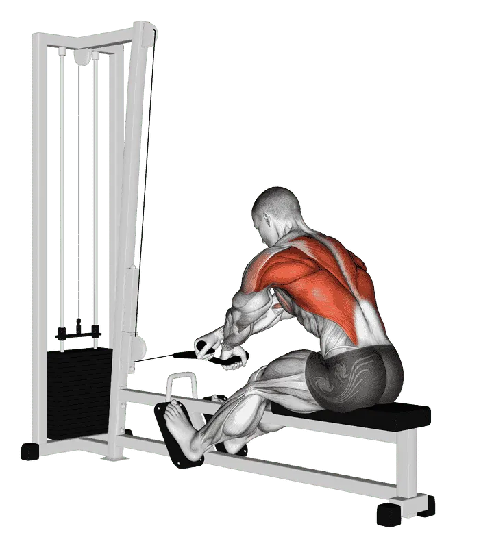 Seated Cable Row