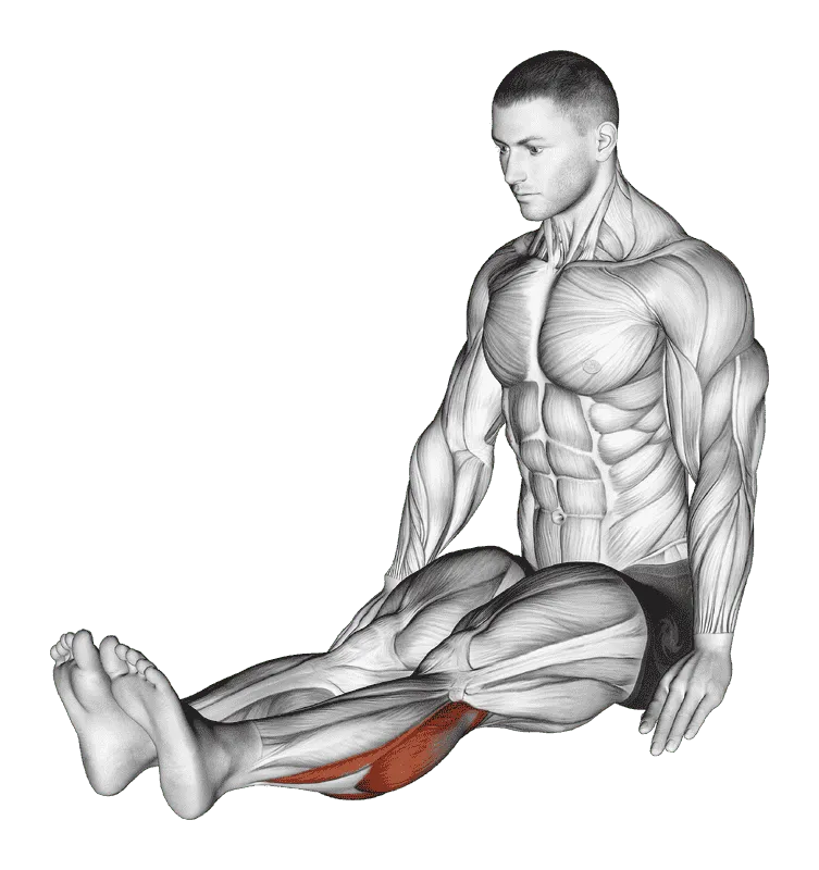 Seated Calf Stretch