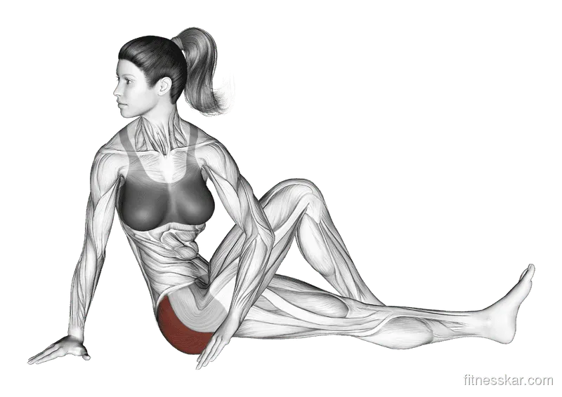 Seated Knee-Up Rotation Stretch