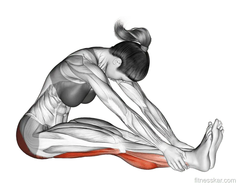 Seated Knee Flexor Stretch, Female demonstration, Start