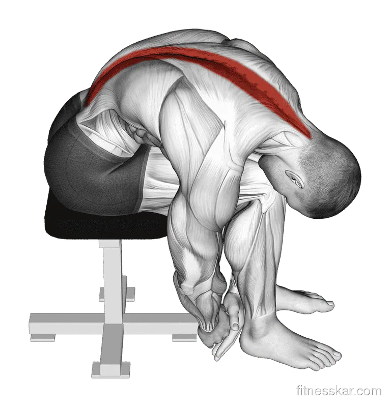Seated Lower Trunk Extensor and Lateral Flexor Stretch