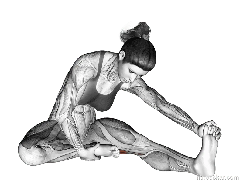 Seated Single-Leg Hamstring Stretch