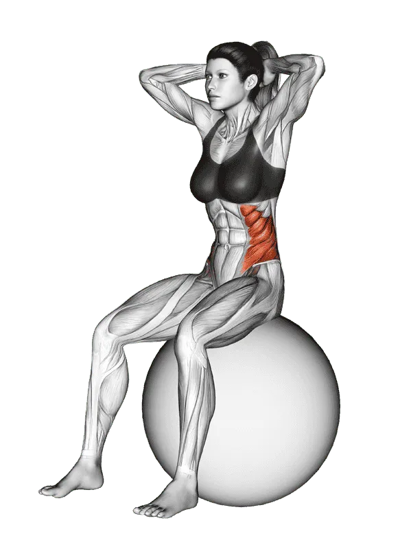 Seated Twist (on Stability Ball), Female demonstration, Start