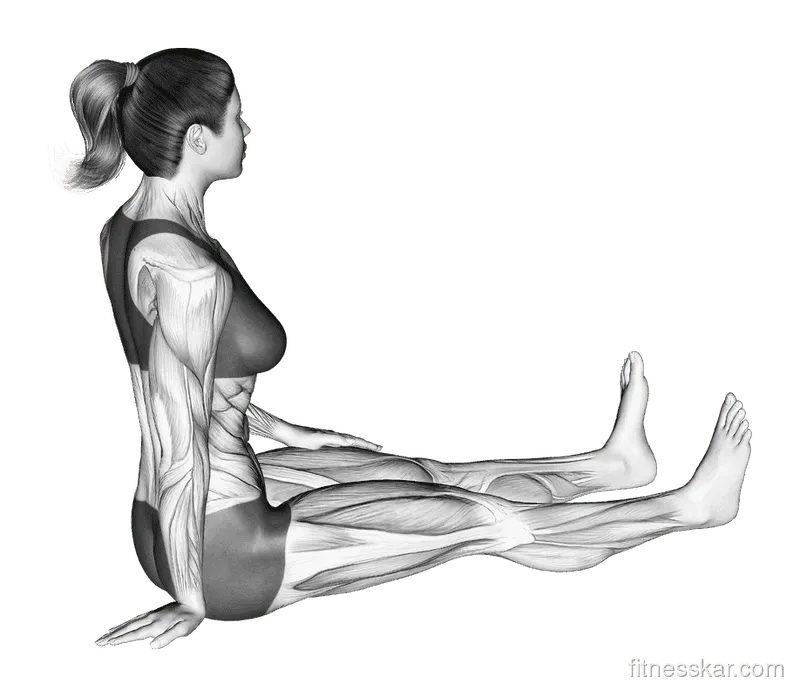 Seated Wrist Ulnar Deviator and Flexor Stretch