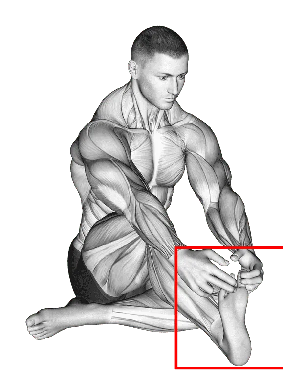 Separation Between Fingers Stretch (Feet), Male demonstration, Start