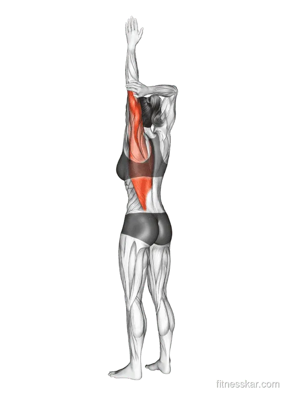 Shoulder Adductor Elevator and Protractor Stretch, Female demonstration, Start