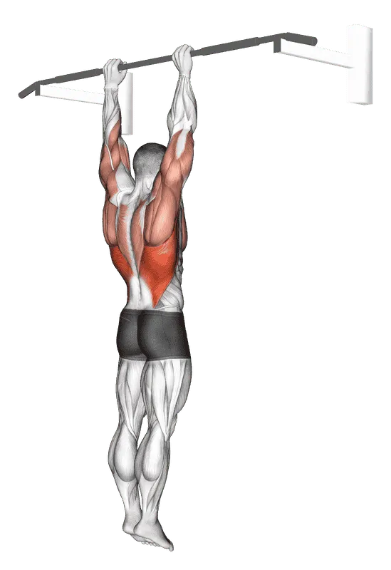 Shoulder Grip Pull-Up, Male demonstration, Start