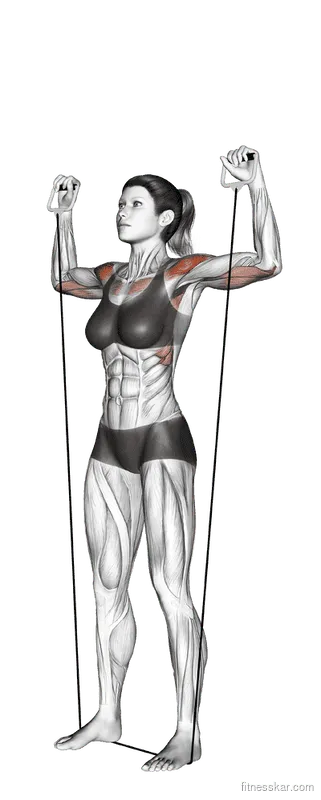 Shoulder Press (with band)