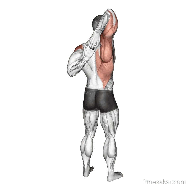 Shoulder Stretch Behind the Back