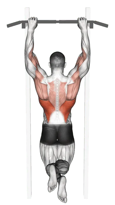 Side-to-Side Chin-Up, Male demonstration, Start
