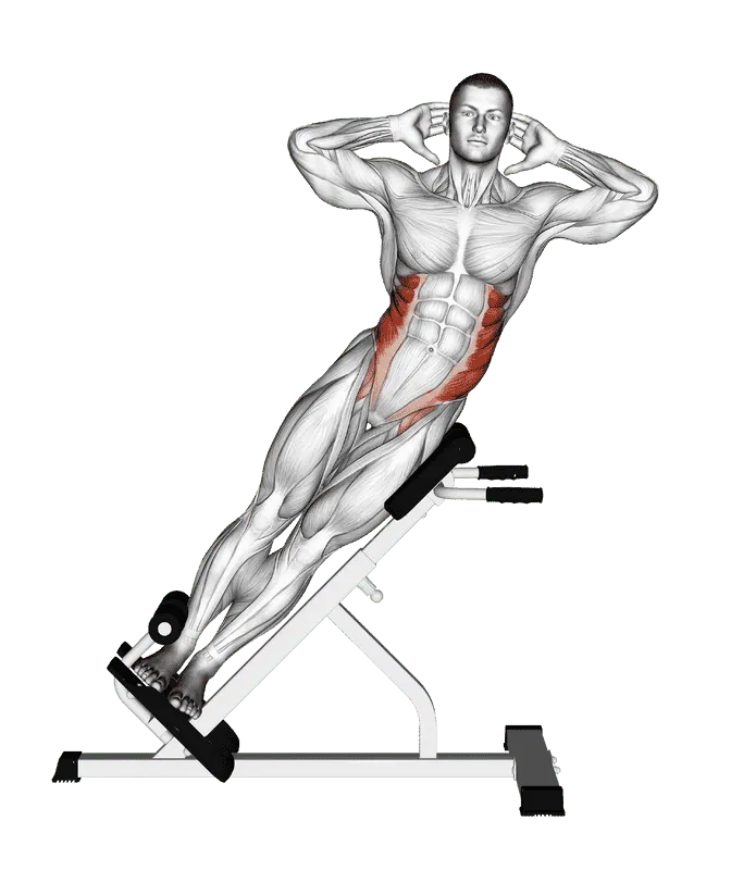 Side Bend, Male demonstration, Start