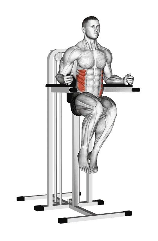 Side Hip Raise on Parallel Bars