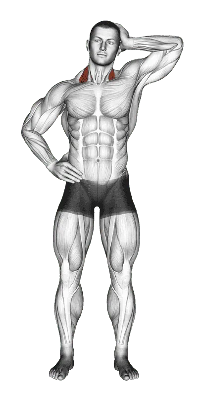 Side Push Neck Stretch, Male demonstration, Start