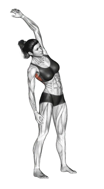 Side Stretch, Female demonstration, Start
