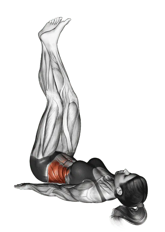 Sideways Lifts Vertical Turn (Straight Legs), Female demonstration, Start