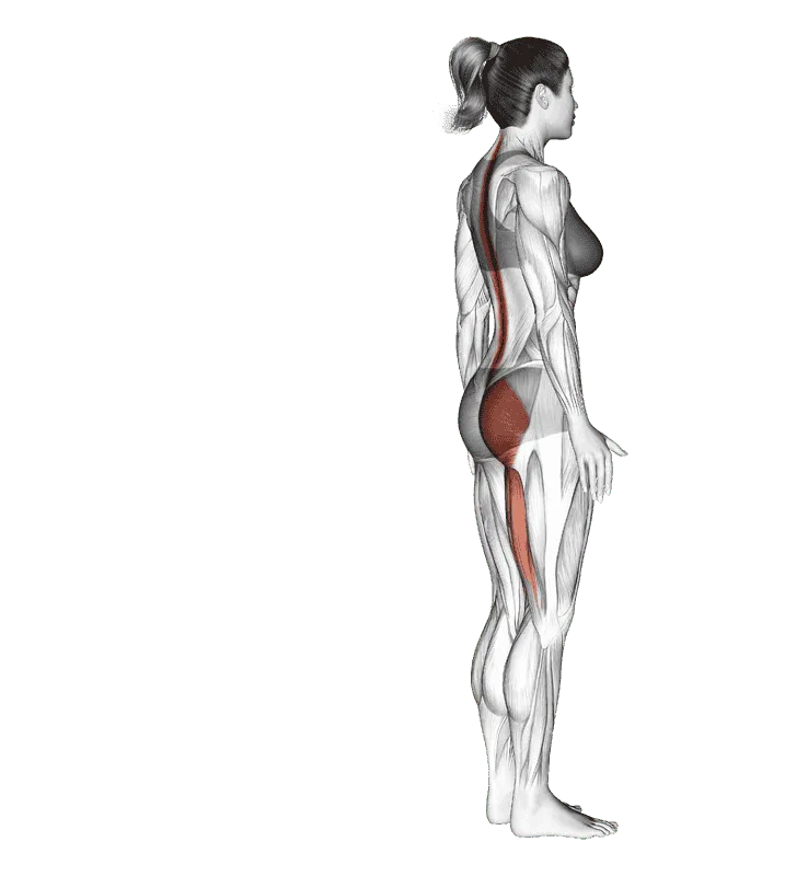 Single-Leg Foot Touch, Female demonstration, Start
