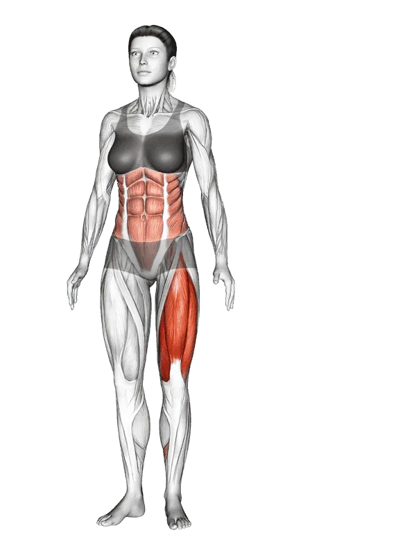 Single-Leg Transverse Bend, Female demonstration, Start