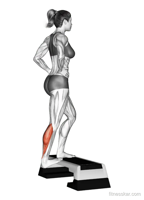 Single Heel Drop Calf Stretch
