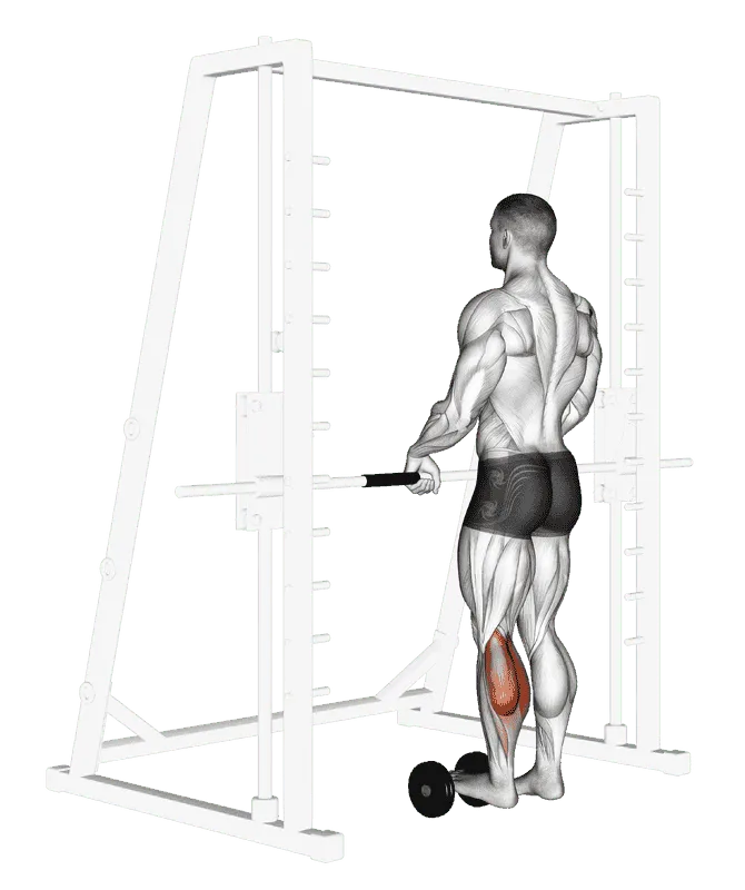 Single Leg Calf Raise (on a Dumbbell)