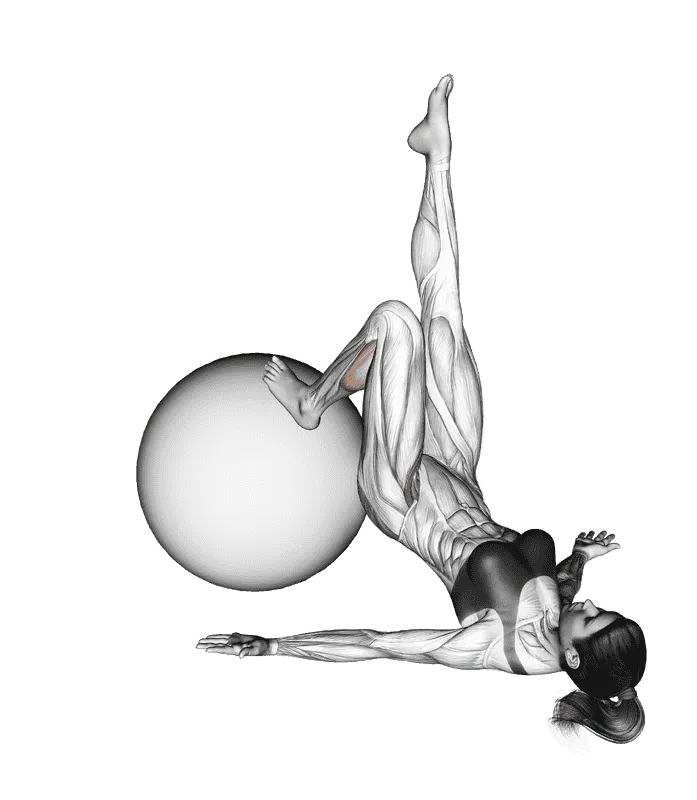 Single Leg Extension (on Stability Ball), Female demonstration, Start