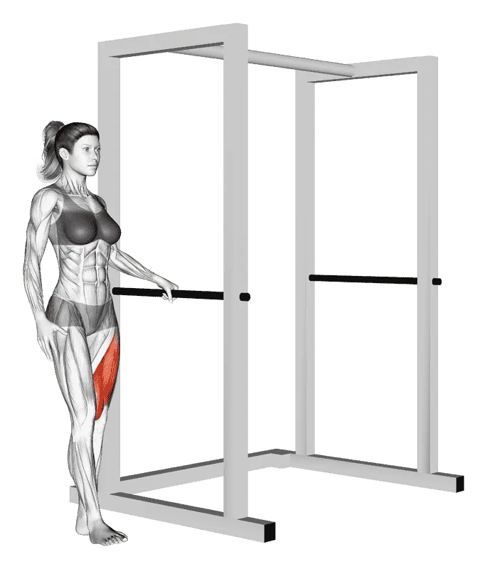 Single Leg Squat with Support, Female demonstration, Start