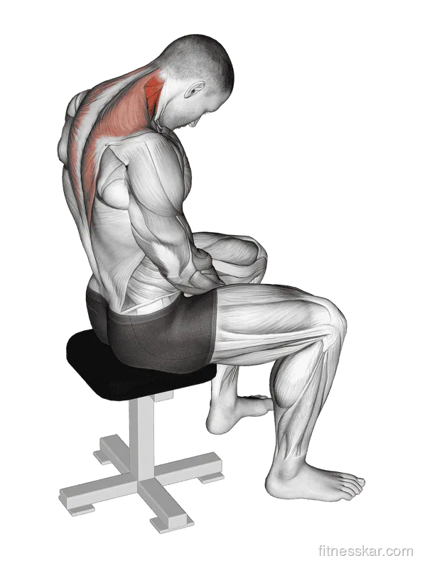 Sitting Neck Flexion Stretch, Male demonstration, Start