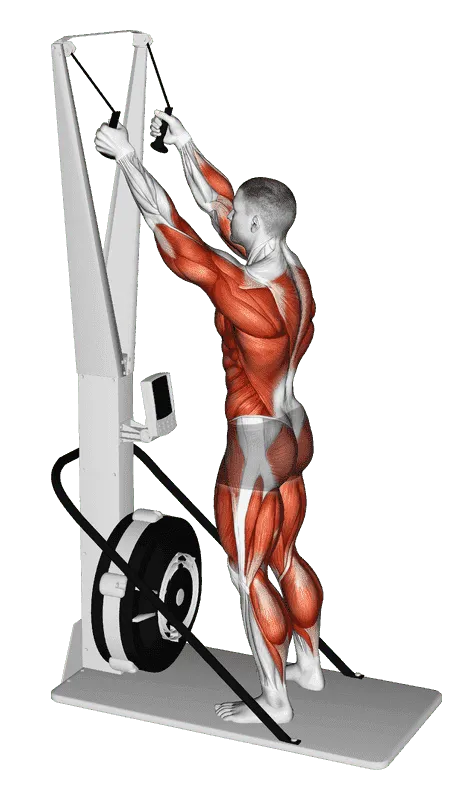 Ski Ergometer