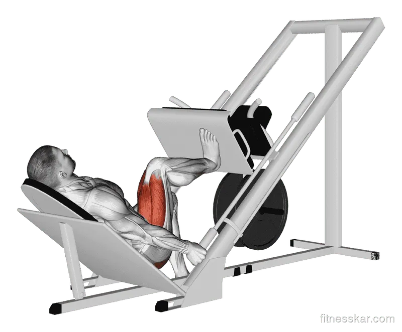 Sled 45-Degree One-Leg Press