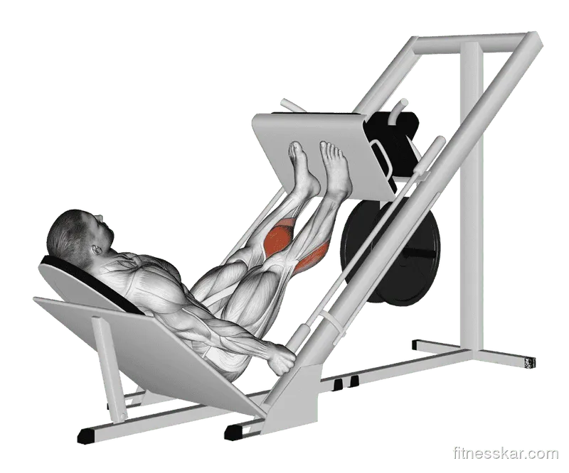 Sled 45° Calf Press