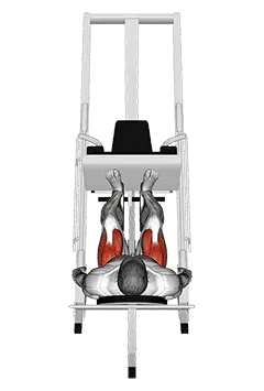 Sled 45° Leg Press - Start