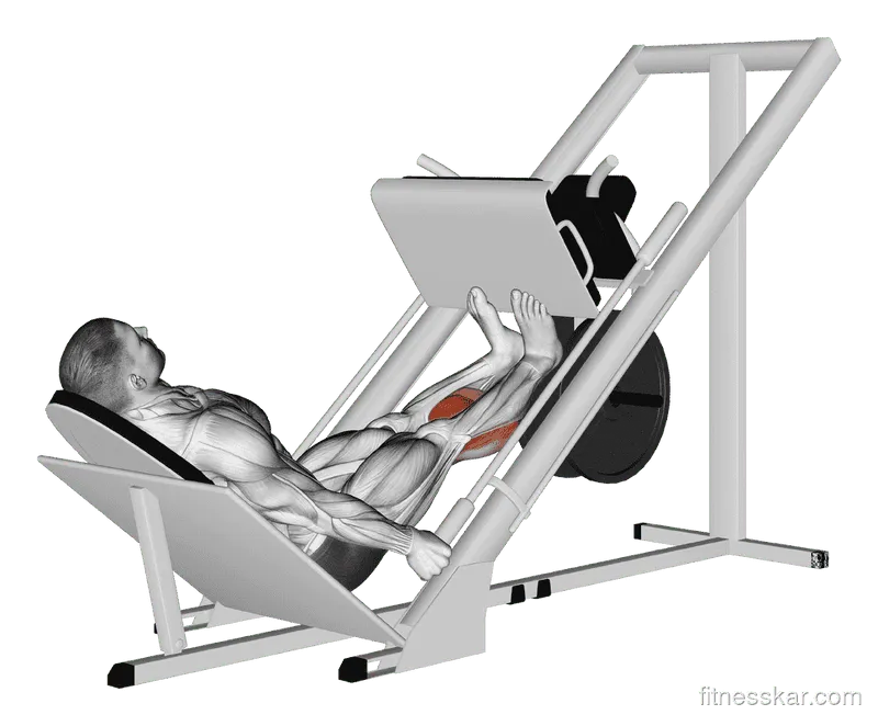 Sled Calf Press on Leg Press