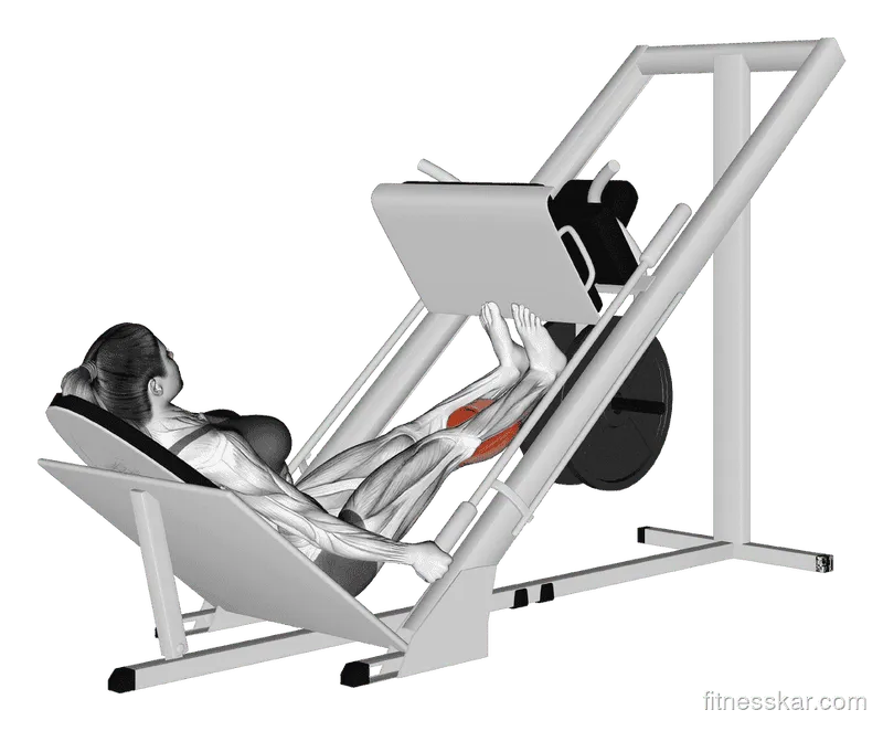 Sled Calf Press on Leg Press, Female demonstration, Start
