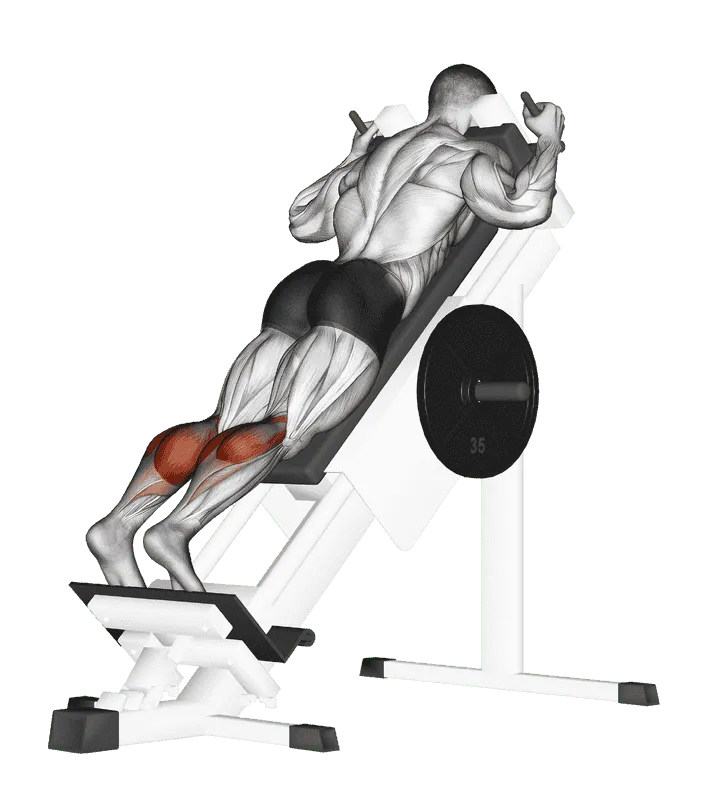 Sled Forward Angled Calf Raise, Male demonstration, Start