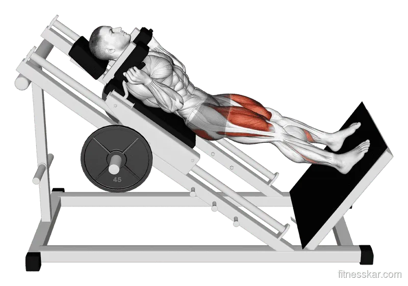 Sled Full Hack Squat