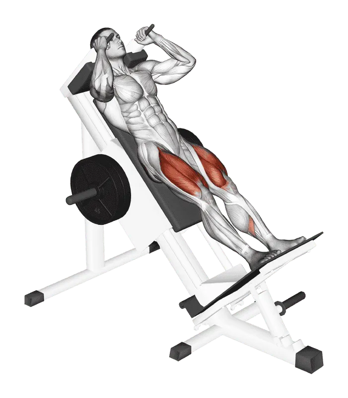 Sled Hack Squat