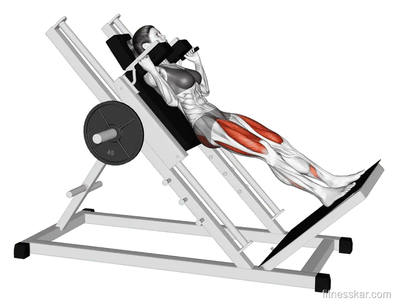 Sled Hack Squat, Female demonstration, Start