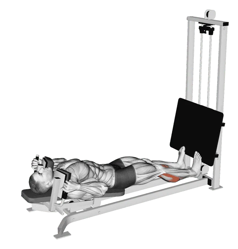 Sled Lying Calf Press, Male demonstration, Start