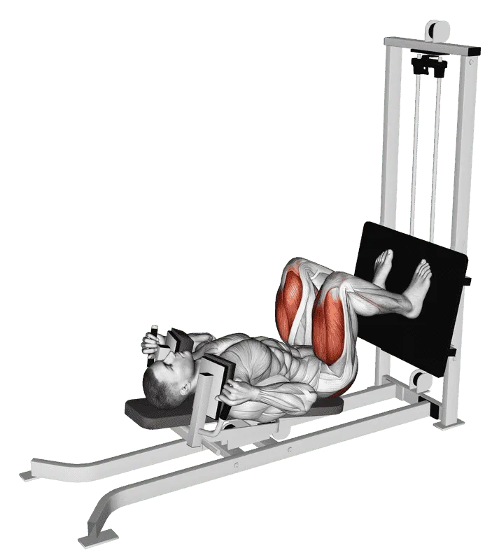 Sled Lying Squat, Male demonstration, Start
