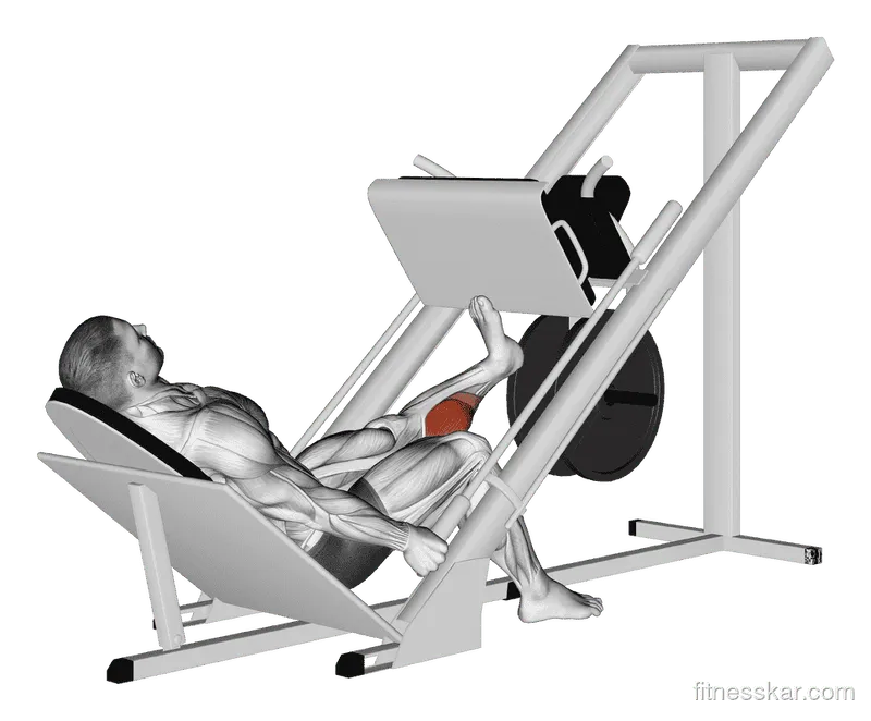 Sled One-Leg Calf Press on Leg Press