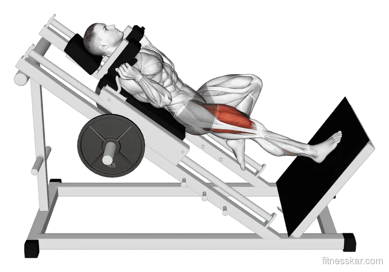 Sled One-Leg Hack Squat, Male demonstration, Start