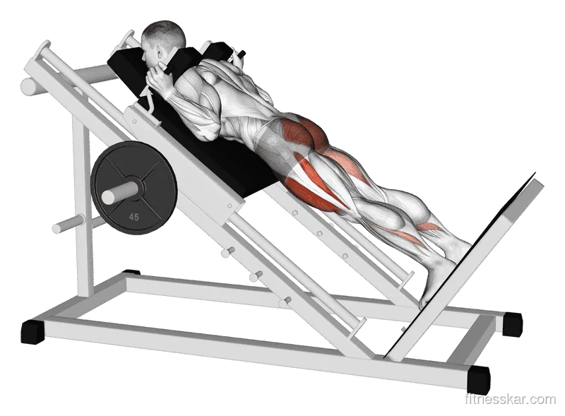 Sled Reverse Hack Squat, Male demonstration, Start