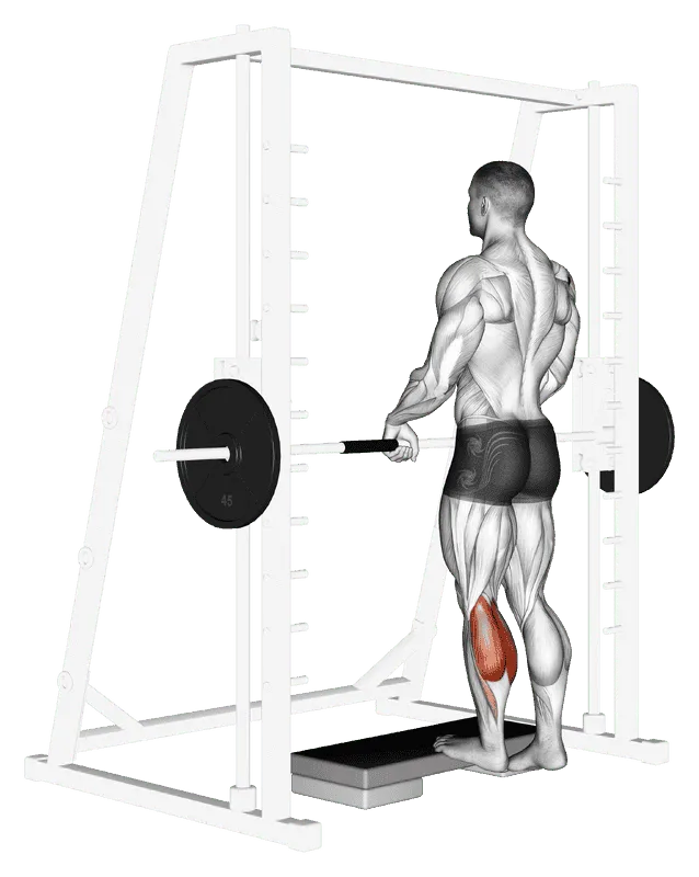 Smith Calf Raise (with block)