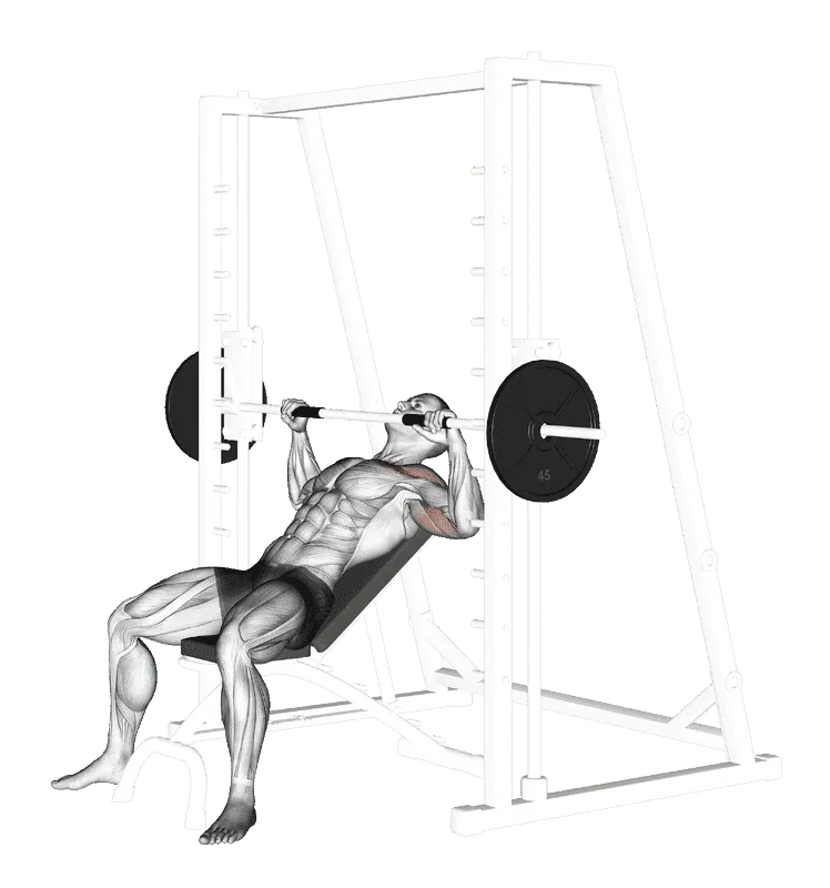 Smith Incline Bench Press