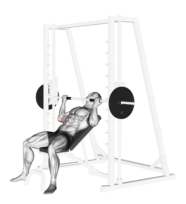 Smith Incline Reverse-Grip Press, Male demonstration, Start