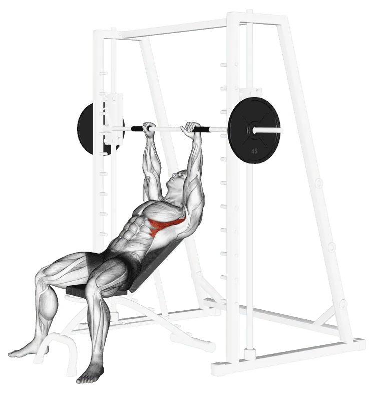 Smith Incline Shoulder Raises, Male demonstration, Start