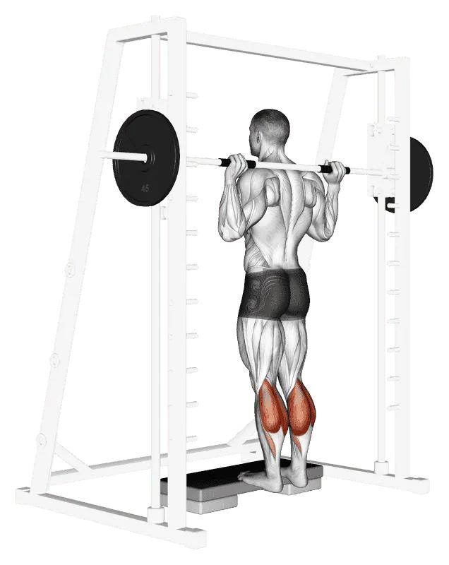 Smith Machine Calf Raise, Male demonstration, Start