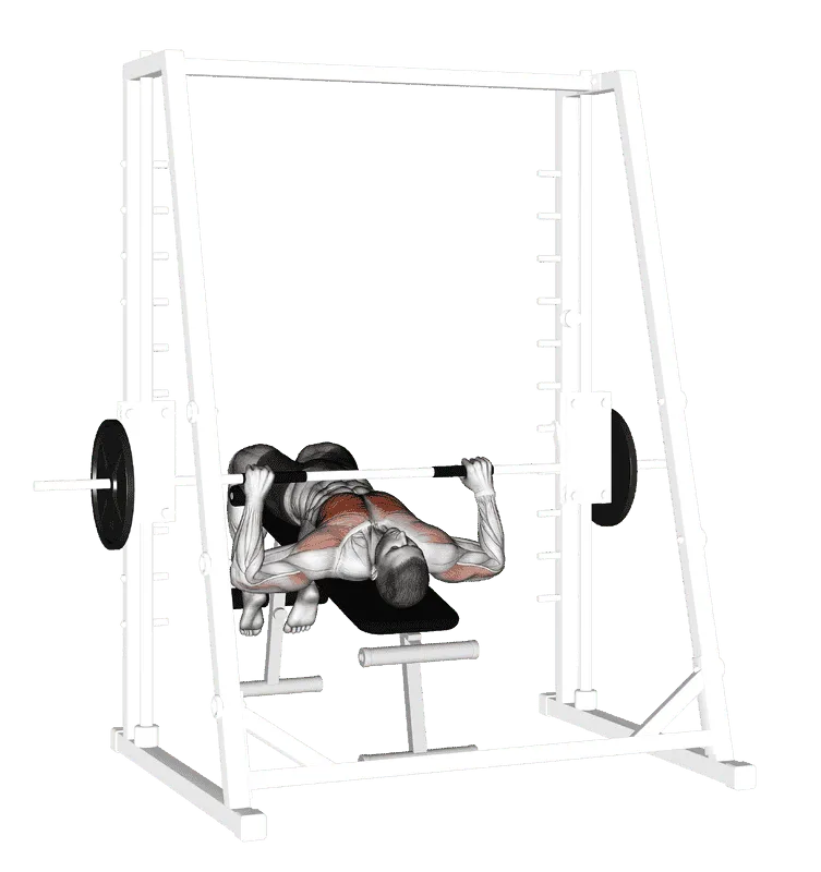Smith Machine Decline Bench Press, Male demonstration, Start