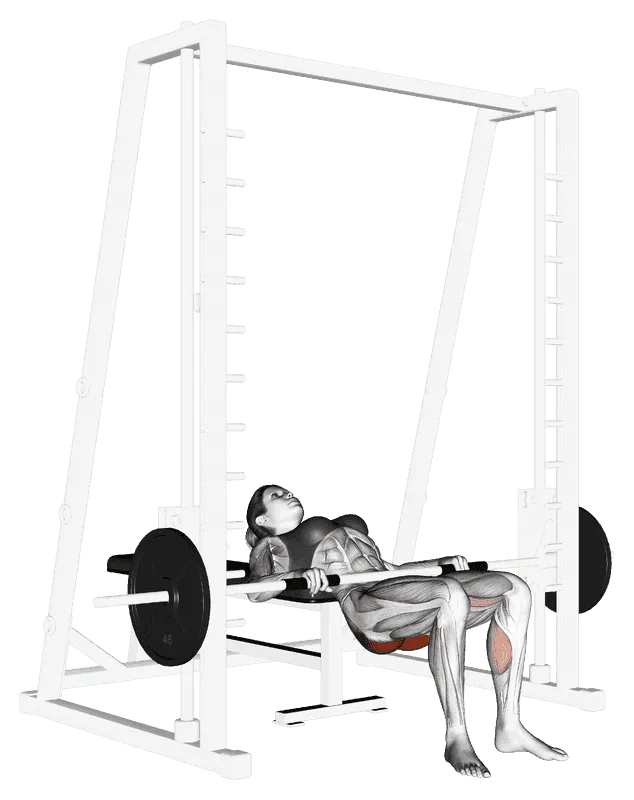 Smith Machine Hip Thrust, Male demonstration, Start