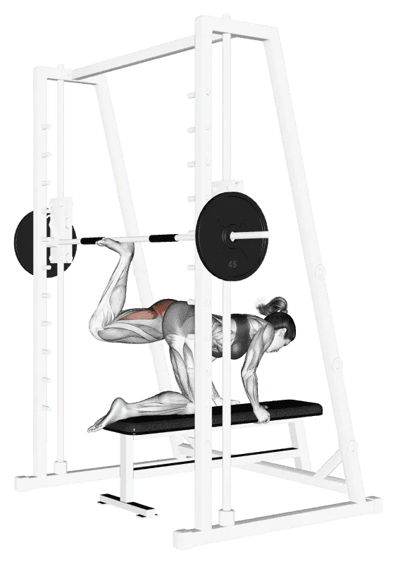 Smith Machine Kneeling Rear Kick, Female demonstration, Start