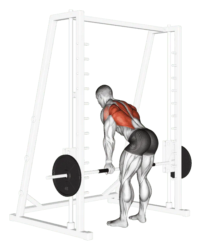 Smith Machine Narrow Row
